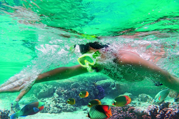 Schnorchel-Set Basic Gr. S